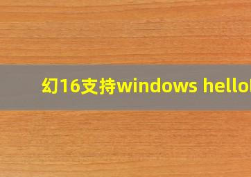 幻16支持windows hello吗